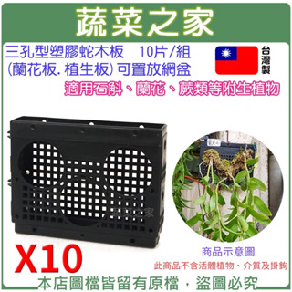 【蔬菜之家滿額免運】10片/組-三孔型塑膠蛇木板(可置放網盆)蘭花板,植生板,蛇木板,石斛蘭 蛇板 植床板 龍蛇蘭 蛇木