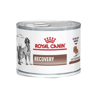 貓/犬 恢復期營養補給配方罐頭 195g 含稅發票 ROYAL CANIN 法國 皇家