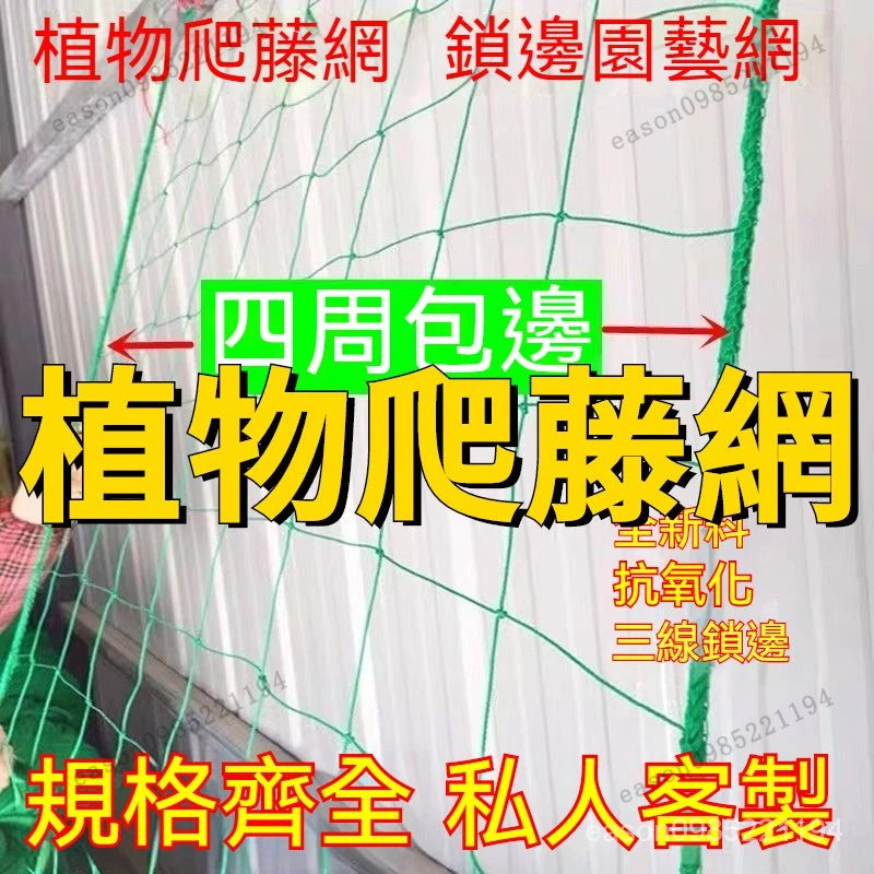 植物爬藤網 百香果爬藤網 絲瓜攀爬網 家庭園藝用網 攀藤網 搭架網 爬藤網 番茄網 苦瓜網 絲瓜網 棚架網 栽培網