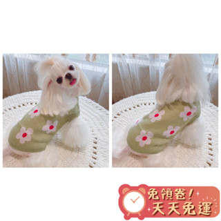【汪喵森活-優惠出清💲】 笑臉 小熊 花朵 針織衫 冬天衣服 秋冬服飾 狗衣服 比熊 博美 貴賓 貓咪 小型犬 吉娃娃