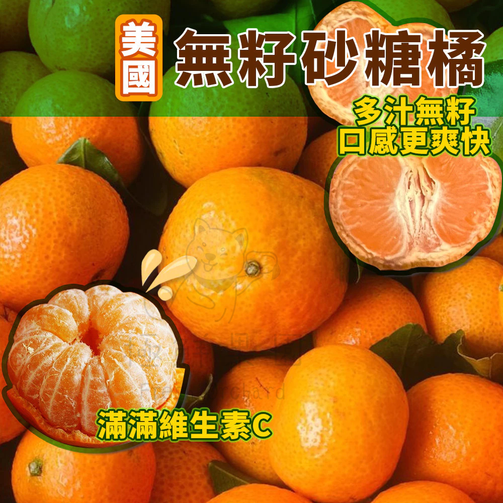 【低溫冷藏 現在下單 隔天寄出】砂糖橘 進口無籽小蜜柑  600克±10% 橘子 蜜柑