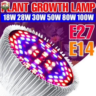 【叄曦燈飾】免運 LED種植燈 泡110V綠色植物全光譜E27/E26紅藍專業室內栽培燈 E14溫室帳篷水培燈 生長燈