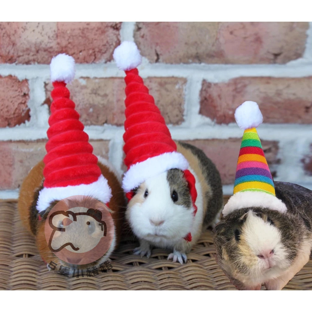 【五隻小豬豬】 台灣現貨 聖誕節小寵裝扮衣服 大聖誕帽.圍巾