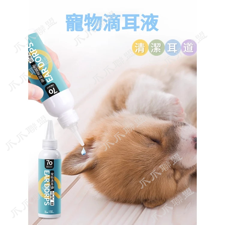 📢現貨 寵物洗耳液 清理耳道 寵物清潔 寵物用品 滴耳液 溫和無刺激 貓狗通用