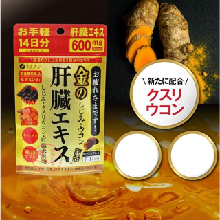 🐧企鵝代購🧊現貨免運🧊FINE JAPAN 黃金薑黃萃取精華錠