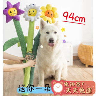 【汪喵森活】 94cm 超長花花 逗狗棒 響紙發聲 Qmonster 磨牙玩具 發聲玩具 響紙玩具 寵物玩具 花花玩具