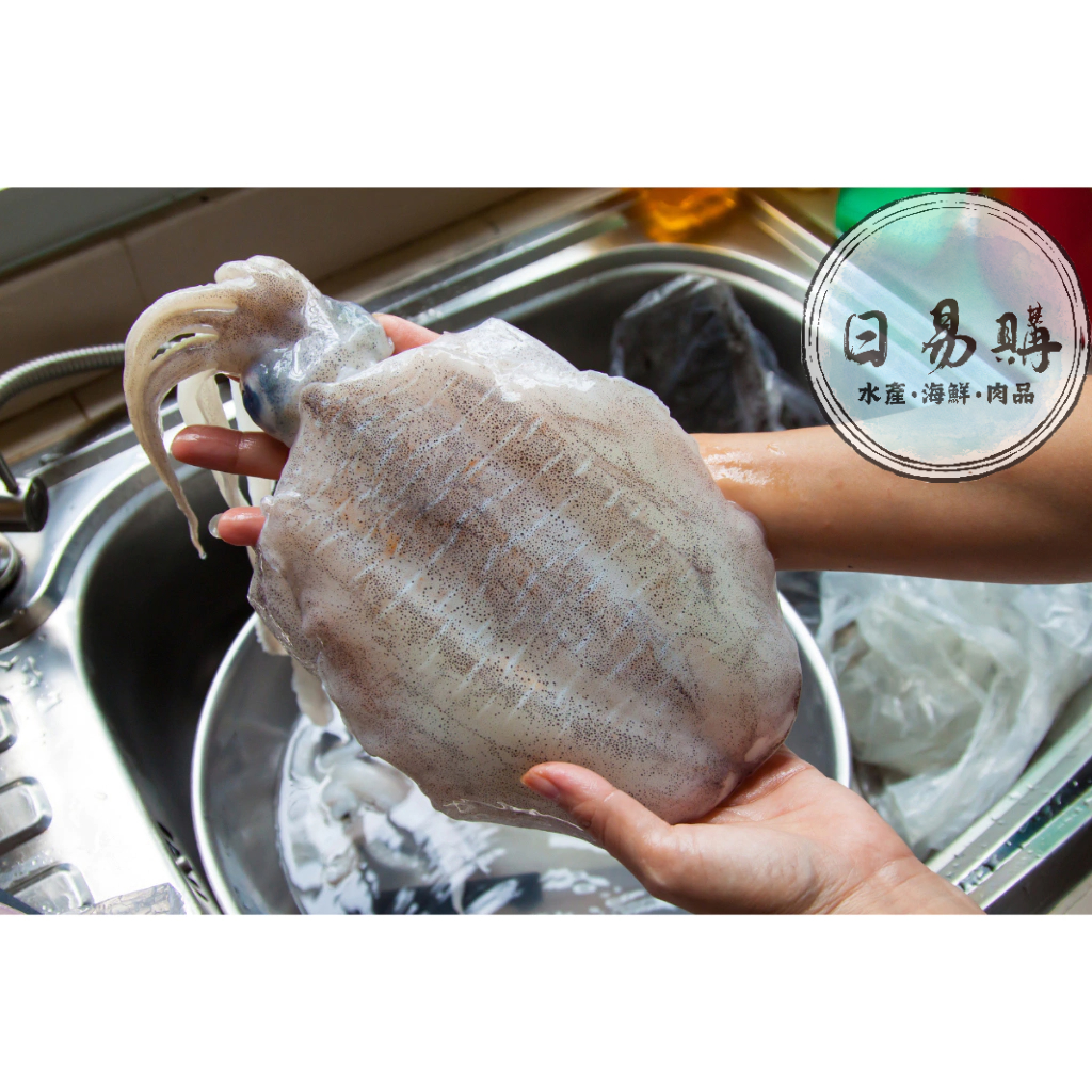 日易購-頂級活凍軟絲(500/600g)/軟翅仔/擬烏賊/冷凍食材/海鮮