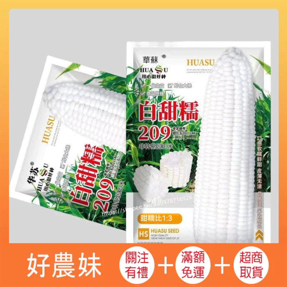 🌱白甜糯🌱A100 白甜糯209玉米種子 水果玉米蔬菜種子 一包約20g 原廠包裝  發芽率高95% ·好農妹