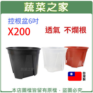 【蔬菜之家滿額免運】控根盆6吋 紅色/黑色/透明(共3色可選) 200個/件 青山盆 花盆 塑膠花盆 多肉盆 育苗盆