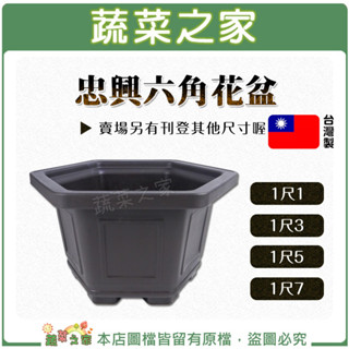 【蔬菜之家滿額免運】忠興六角花盆 1尺1、1尺3、1尺5、1尺7 (加厚材質) 六角盆栽 盆栽 花盆 六角盆 日式盆