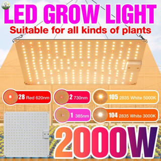 【叄曦燈飾】免運 LED植物燈 全光譜110V生長燈 多肉補光燈 220V室內量子板種植燈 園藝花圃植物照明1500W2