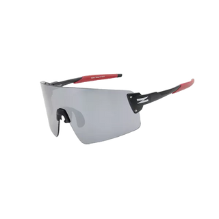 ZIV ARMOR 太陽眼鏡 抗UV400 風暴PC防撞片防爆防霧防油汙防潑水 霧黑框 ZIV-154《台南悠活運動家》