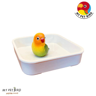 MY PET BIRD 新經濟寵物浴盆 Z035