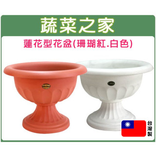 【蔬菜之家滿額免運】蓮花型花盆-中(無孔) 白色/珊瑚紅共2色│花盆 花槽 水耕 蓮花 盆栽容器 花器 盆器 種植容器