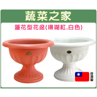 【蔬菜之家滿額免運】蓮花型花盆-小(無孔)珊瑚紅.白色共2色 蓮花盆 花盆 花槽 栽培盆 種植盆 荷花 種植容器 盆器
