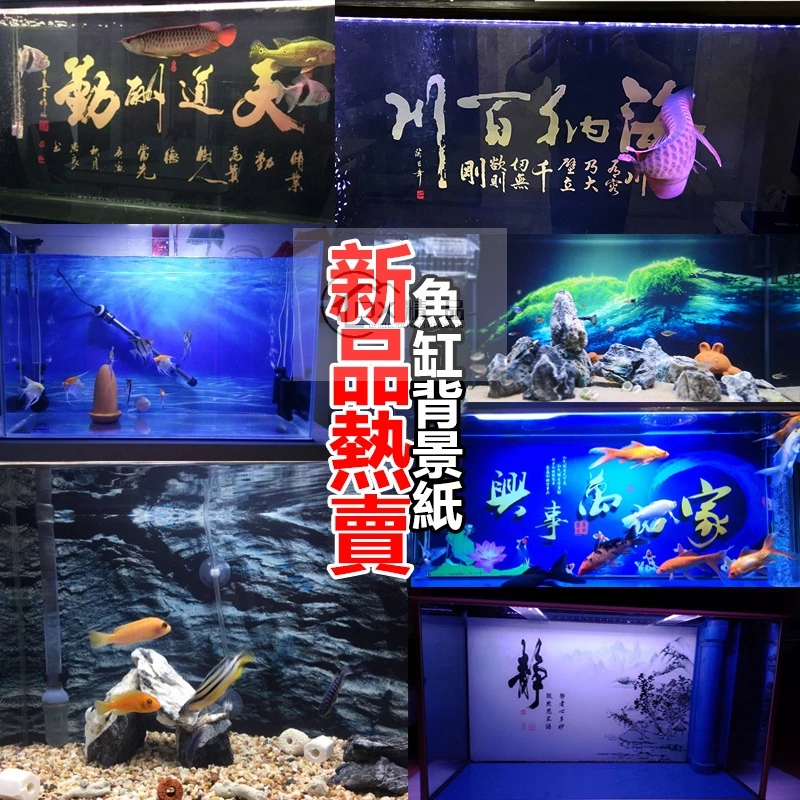 【DX精選】客製化 魚缸背景圖 高清圖3d立體壁畫水族箱造景圖貼紙壁紙5d裝飾底板 魚缸背景 魚缸貼紙 魚缸壁紙