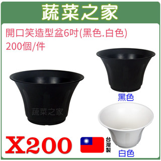 【蔬菜之家滿額免運】開口笑多肉專用造型盆6吋-200個/件 花盆 塑膠花盆 蔬菜盆 多肉盆 育苗盆