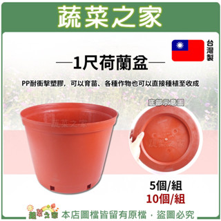【蔬菜之家滿額免運】1尺-荷蘭盆-5個/組 10個/組│紅盆 種植盆 塑膠花盆 蔬菜 園藝用具 盆栽容器 花器 盆器
