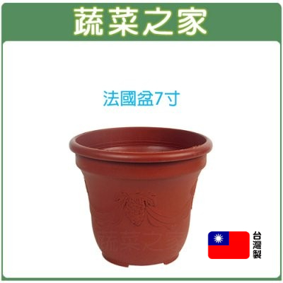 【蔬菜之家滿額免運】法國盆7寸 歐洲盆 花盆 花槽 栽培盆 種植盆 塑膠花盆 蓮花盆 荷花盆