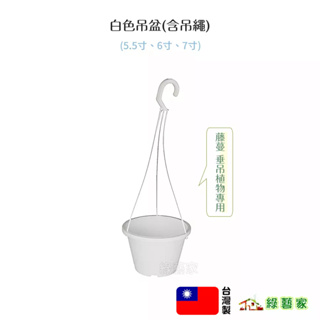 白色吊盆 5.5寸 6寸 7寸(含吊繩)藤蔓 垂吊植物專用 正台灣製品【綠藝家】