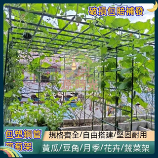 免運開票 戶外庭院園藝爬藤花架支架庭院 葡萄架子 花架 爬藤架 園藝花支架 園藝支架 植物架 豆角黃瓜架