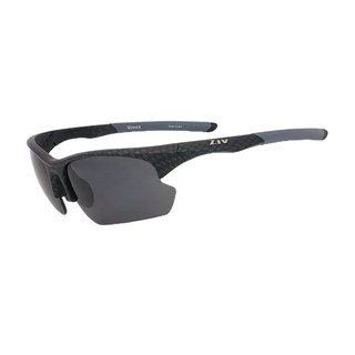 ZIV-50 B105009 WINNER可換片系列 偏光片 太陽眼鏡 抗UV400 防撞PC變色片《台南悠活運動家》