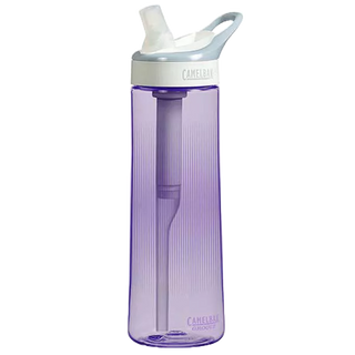 CAMELBAK CB53365 濾心吸管水瓶 750ml 紫色《台南悠活運動家》