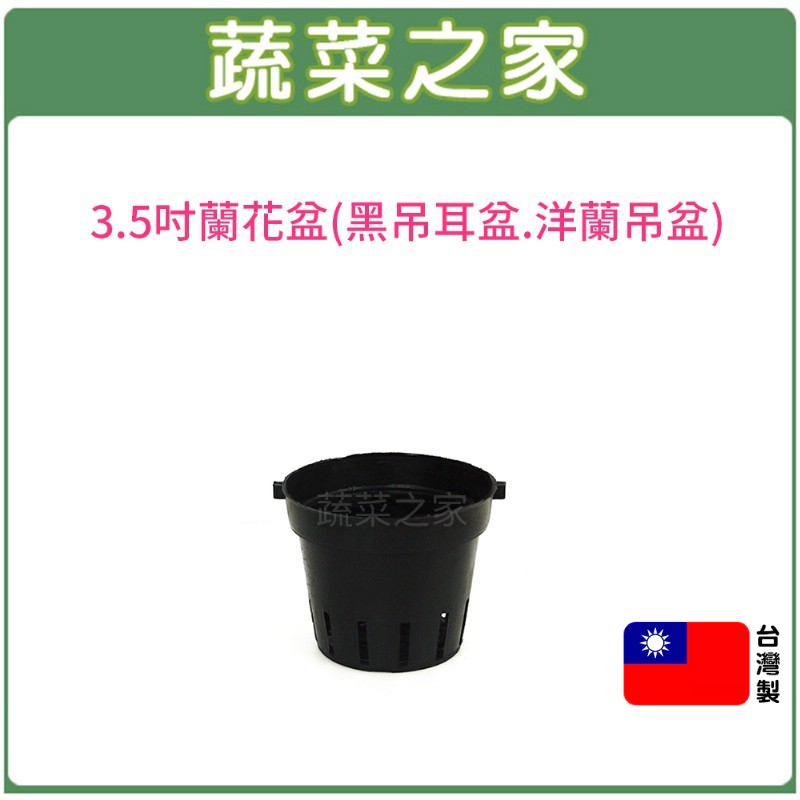 【蔬菜之家滿額免運】3.5吋蘭花盆(黑吊耳盆.洋蘭盆)  花盆 塑膠花盆 蘭花種植 洋蘭盆 國蘭盆 黑色