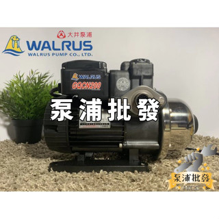 【泵浦批發】♨優惠價♨ GQCN200B 1/4HP 大井WALRUS 太陽能熱水專用加壓機 自動洩壓 GQCN200