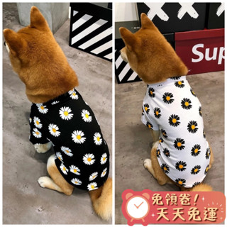 【汪喵森活-優惠出清💲】 狗衣服 寵物衣服 雛菊T恤 雛菊 純棉透氣 柯基 柴犬 貴賓 雪納瑞 寵物衣服 狗夏天衣服