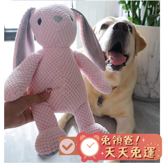 【汪喵森活】 寵物玩具 中大型犬 發聲玩具 兔子大象大熊恐龍 寵物玩偶 互動玩具 磨牙玩具 咬咬玩具 陪伴玩具 狗玩具