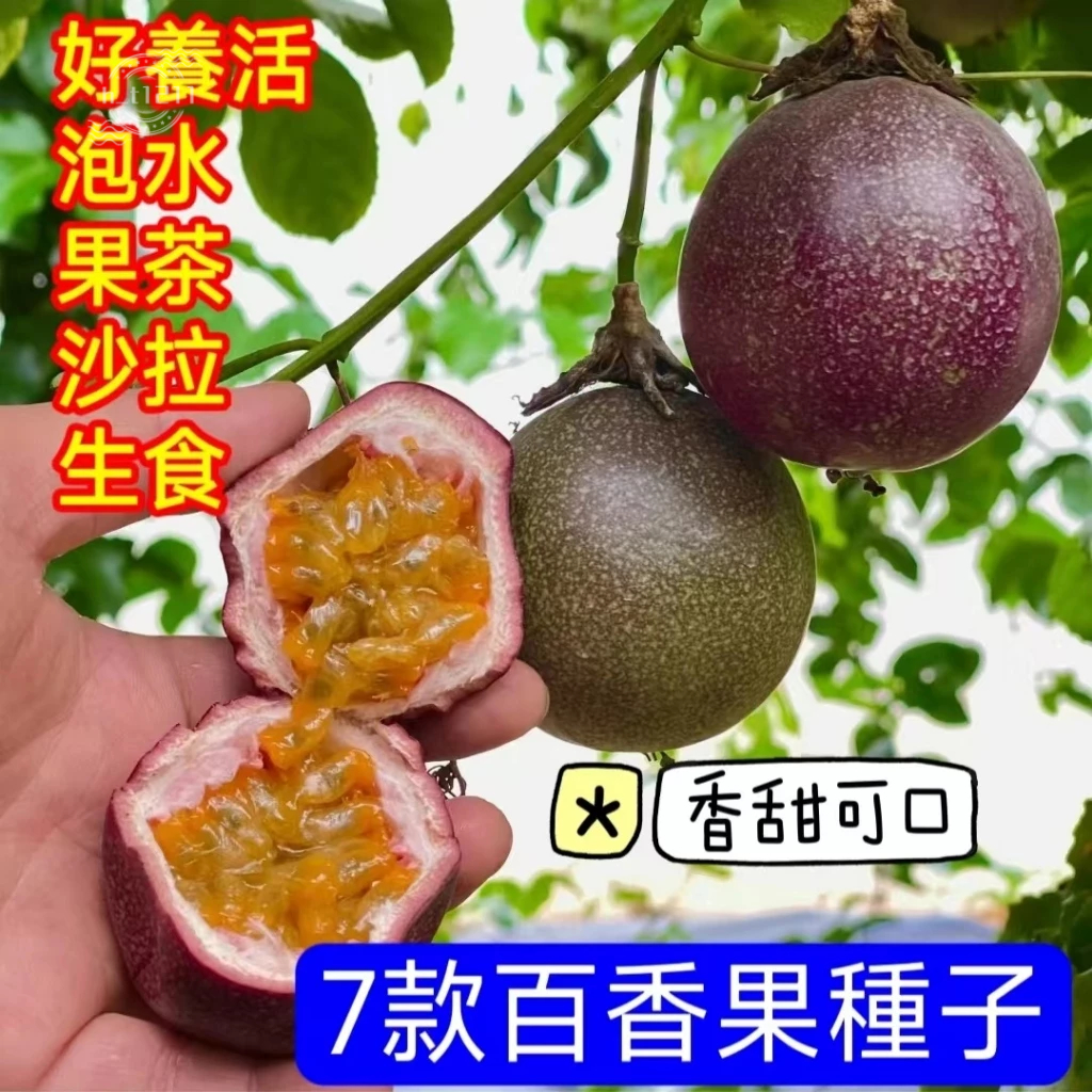 💥💥【百香果種子】 黃金百香果樹苗 香蕉百香果種子 四季種植 高產 發芽率高 一元一粒 陽臺庭院種植 水果種子 爬藤植物