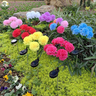 〖叄曦燈飾💖〗新款7頭太陽能大朵康乃馨戶外草坪花園庭院裝飾LED插地式仿真花燈