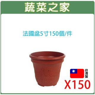 【蔬菜之家滿額免運】法國盆5寸150個/件 花盆 塑膠花盆 蔬菜盆 育苗盆 栽培盆