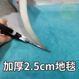 加厚珊瑚絨地毯 【特厚2.5cm】厚地墊 床邊地毯 榻榻米墊飄窗墊 地墊臥室 長地墊 加厚地墊 床邊地毯 客廳地墊 地毯
