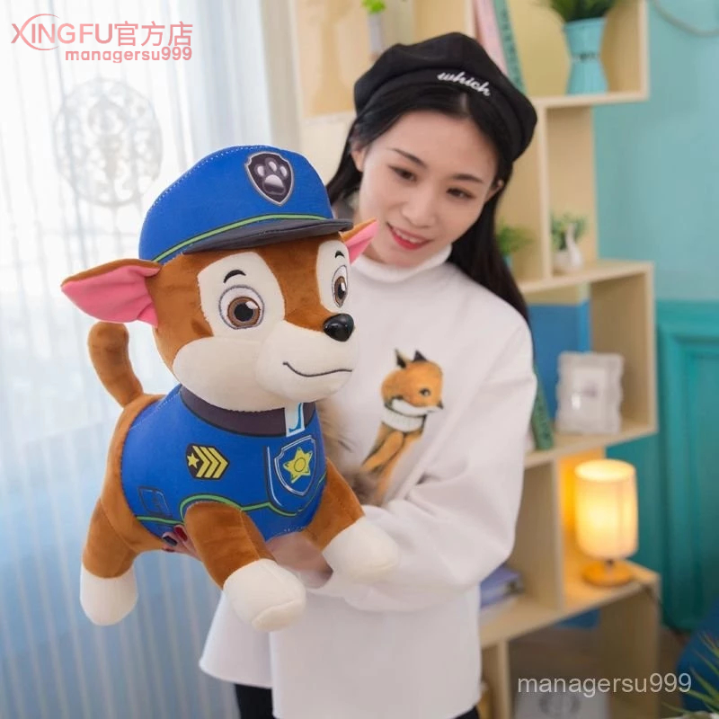 汪汪隊毛絨玩具狗狗巡邏隊全套公仔小狗汪汪隊阿奇布偶兒童玩具 阿奇 毛毛 天天 小麗 灰灰 路馬 CCBA