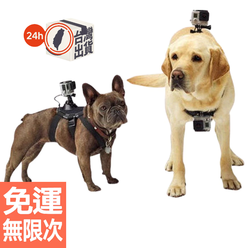 寵物運動相機胸帶 運動相機配件 gopro狗帶 犬背帶 兼容SJ4000小蟻 dji