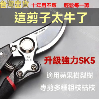 台灣現貨 【日本SK5大剪子 】剪樹枝 剪子 盆栽修剪 園藝剪子 花卉修剪 剪樹刀 樹枝剪刀 省力 修枝剪 果枝修剪
