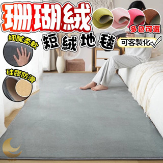 可客製化尺寸✅ 珊瑚絨地毯 地毯 地毯臥室 純色地毯 地墊 房間地墊 客廳地毯 客廳地墊 地毯客廳 地毯客廳 房間地毯