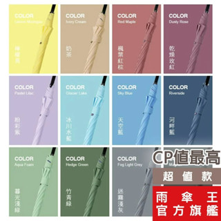 雨傘王 官方直營 BigPurple大紫 25吋 直傘 抗風 大傘面 快乾布 晴雨傘 太陽傘 防潑水 露營 長傘