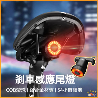 隔日現貨🚢自行車尾燈 智慧感應剎車燈 自行車燈 煞車燈 公路車夜騎燈 山地車充電 警示燈 騎行裝備 LED燈