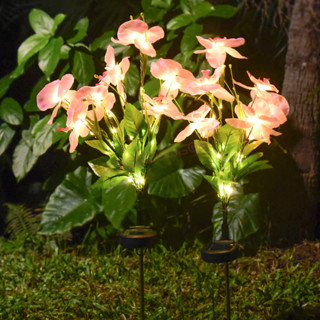 【靜悅坊】新款太陽能庭院燈LED模擬蝴蝶蘭花地插燈戶外別墅花園裝飾草坪燈