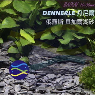 微笑的魚水族☆DENNERLE丹尼爾【俄羅斯貝加爾湖砂S(3-8mm)1kg.5kg】原採河砂 裝飾 底砂