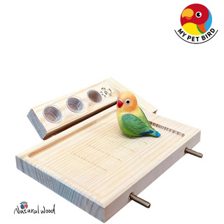 MY PET BIRD 貼心設計的殘疾鳥用品讓您的寵物更健康快樂 ｜ 鸚鵡大站臺 W798