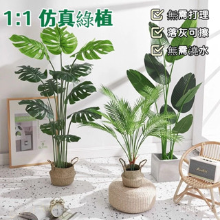 🔥免運爆款🔥 北歐ins風仿真植物 客廳模擬綠植龜背竹小盆栽 假綠植擺件 裝飾假花仿真花擺設 綠植裝飾擺件 擺飾假花