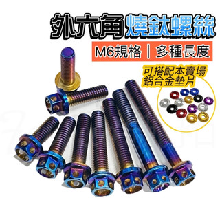 Tw現貨🔥M6 燒鈦螺絲 鍍鈦 鍍金 白鐵 不鏽鋼 白鐵螺絲 鍍鈦螺絲 燒鈦螺絲 螺絲 彩鈦螺絲 燒藍螺絲 外六角螺絲
