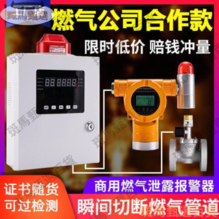 -爆款特賣-可燃氣體探測 220V工業報警器 油漆燃氣液化天然氣氨氣濃度檢測儀工業商用