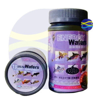 微笑的魚水族☆FishLive-樂樂魚【能量餅片(13號)280ml.960ml】(緩沉/大) 底棲魚飼料
