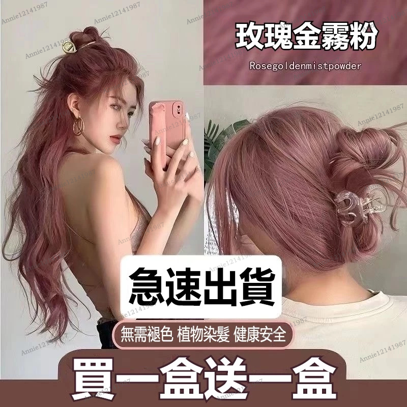 春節不放假🔥買一送一🔥2026潮流髮色 染髮劑 植物染髮劑 染膏染頭髮 染髮劑泡泡染 蓋白髮染髮劑 護髮 玫瑰金雾粉染髮