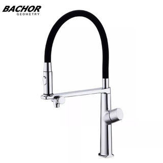 BACHOR 旋鈕開關可繞式出水管RO廚房立式龍頭 BA.83575